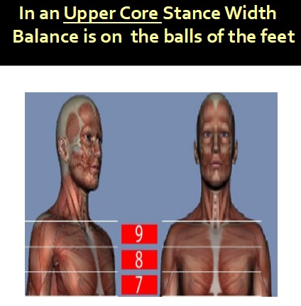 12-b-Upper-Core-Illustration